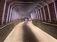 -昆山城市生态森林公园