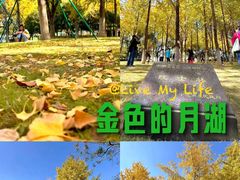 -月湖公园