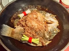 -芙蓉堂(武汉天地店)