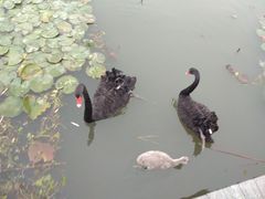 -江南大学(蠡湖校区)