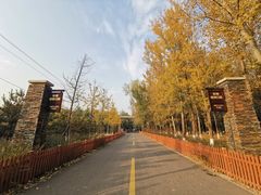 -东郊湿地公园