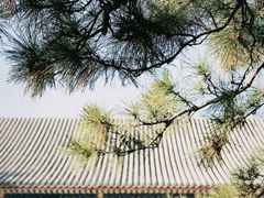-颐和园