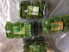 王家沙点心店(南京西路总店)-王家沙点心店(南京西路总店)