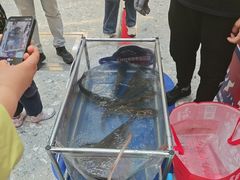 -万达广场(北京槐房店)