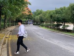 -三江森林温泉度假区