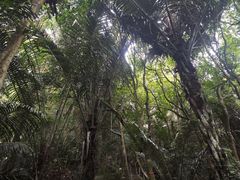 -七仙岭温泉国家森林公园