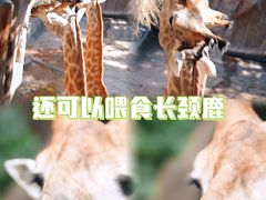 -长鹿旅游休博园