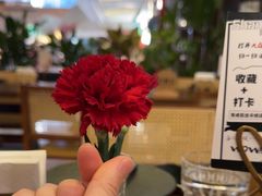 -Shantek象提南亚餐厅&西餐融合Bistro(淮海中路店)
