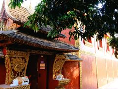 -西双版纳傣族园