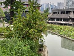 -龙潭水乡