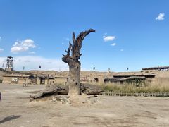 -镇北堡西部影城