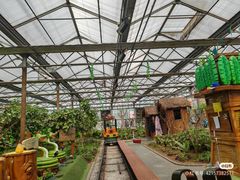 -南宫五洲植物乐园