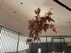 -大头椰·海南椰子鸡火锅(思明万象城店)