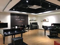 -柏斯音乐艺术中心·钢琴·吉他(上音店)