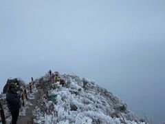 -金子山原生态旅游风景区