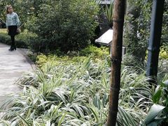 -晓港公园