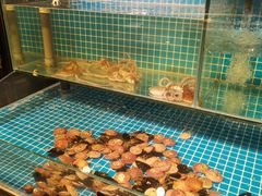 水产区-隐炉和牛烧肉店(群力店)