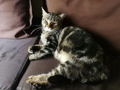 -凡人&庄阿姨的辣(万寿亭店)