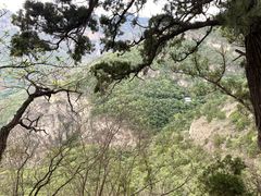 -北京上方山国家森林公园