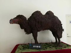 -中国第四纪冰川遗迹陈列馆