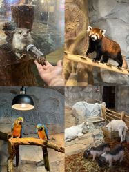 -Zoolung Zoolung动物主题公园(海信广场店)