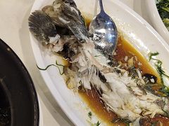 老虎斑-五谷芳乳鸽王(梅沙老店)