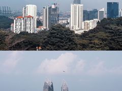 -花柏山公园