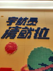 -乐高授权专卖店(南开大悦城店)