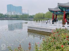 -西海子公园