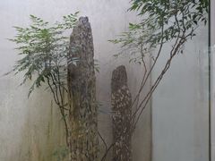 -苏州园林博物馆