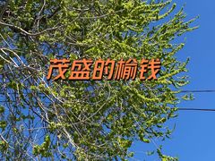 -十三陵水库