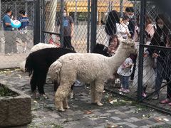 -长白岛森林公园