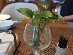 -海棠湾九号度假酒店-融荟家和中餐厅