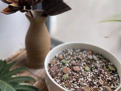 -唐咖精品咖啡(大理古城手冲店)