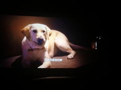 -AMG海上明珠影城(上海环球港RealDCinema店)