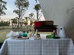 -春花秋色城市公园