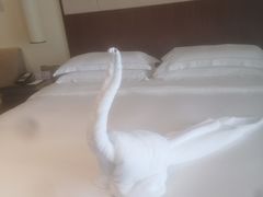 -三亚亚龙湾希尔顿酒店