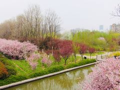 -洛阳市隋唐城遗址植物园