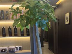 -鹿栖.精油SPA(金山世纪城店)