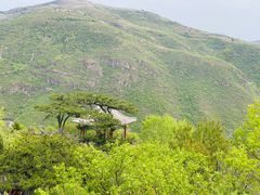 -妙峰山风景名胜区