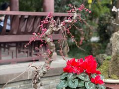 -成都杜甫草堂博物馆