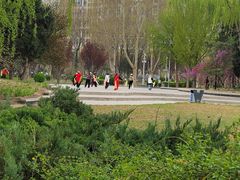 -金星公园