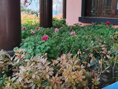 -郑州方特梦幻王国