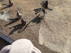 -秦皇岛野生动物园