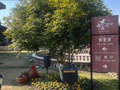 -金山农民画村-枫泾波兰倒置屋