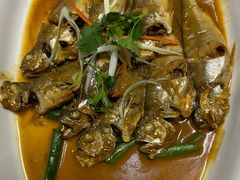 -大连湾旭日·家宴·海肠捞饭(马栏广场店)