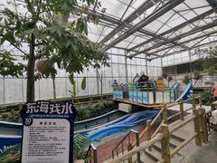 -南宫五洲植物乐园