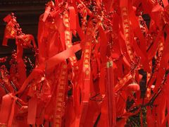 -亭林园-华藏寺