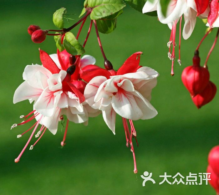 签到图片