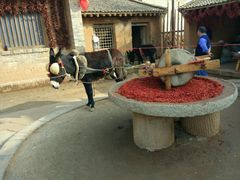 -白鹿原影视城